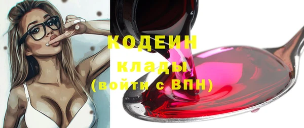 крисы Липки