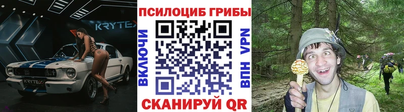 Псилоцибиновые грибы GOLDEN TEACHER  Купить закладки  Дивногорск 